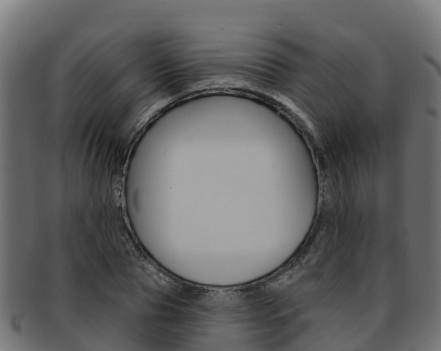 X0000092320929200709141048