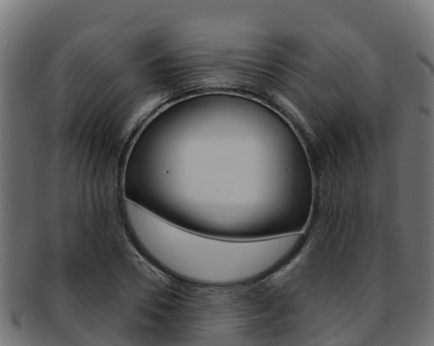 X0000092320930200709141048