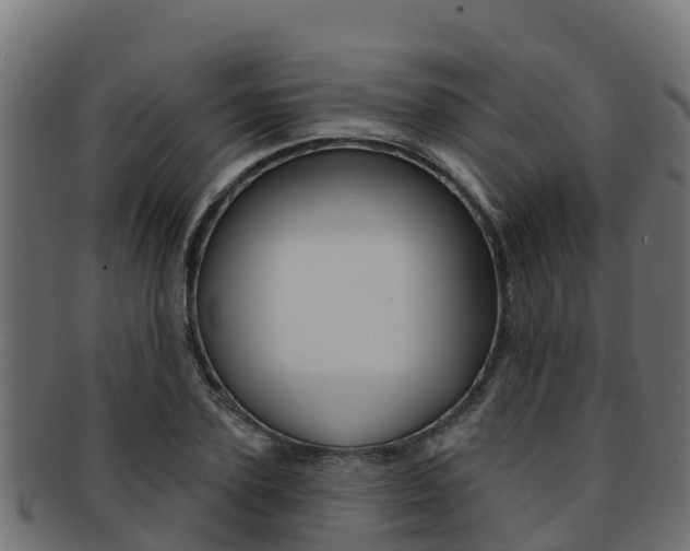 X0000092320931200709141048