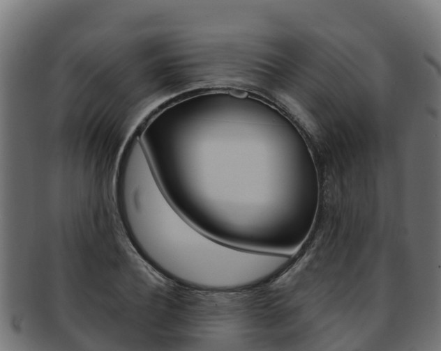 X0000092320932200709141048