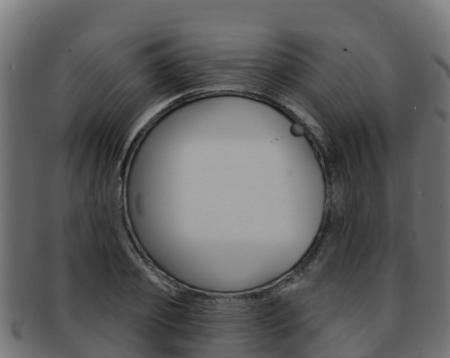 X0000092320933200709141048