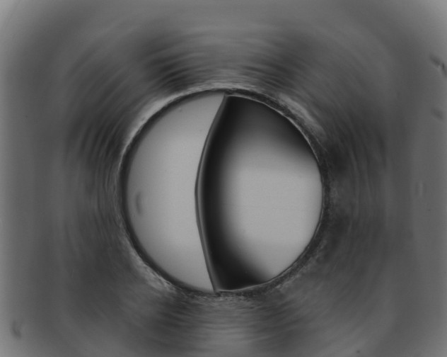 X0000092320934200709141048