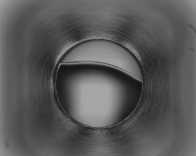 X0000092320936200709141048