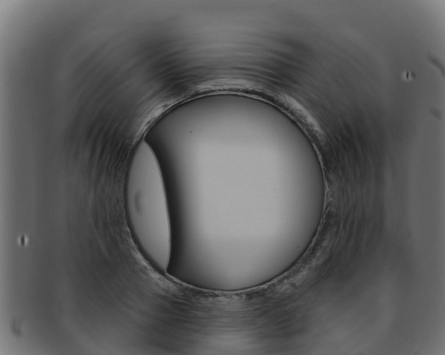 X0000092320937200709141048