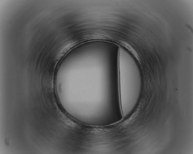 X0000092320938200709141048