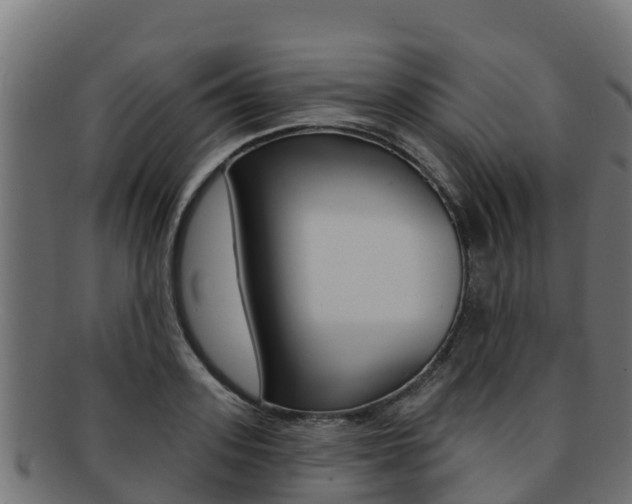 X0000092320939200709141048