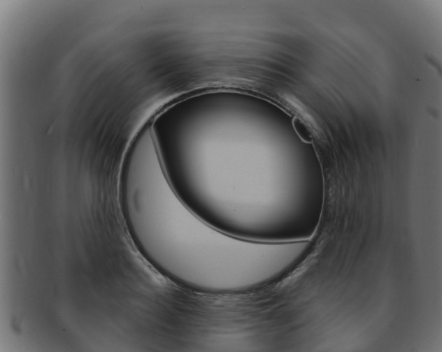 X0000092320940200709141048
