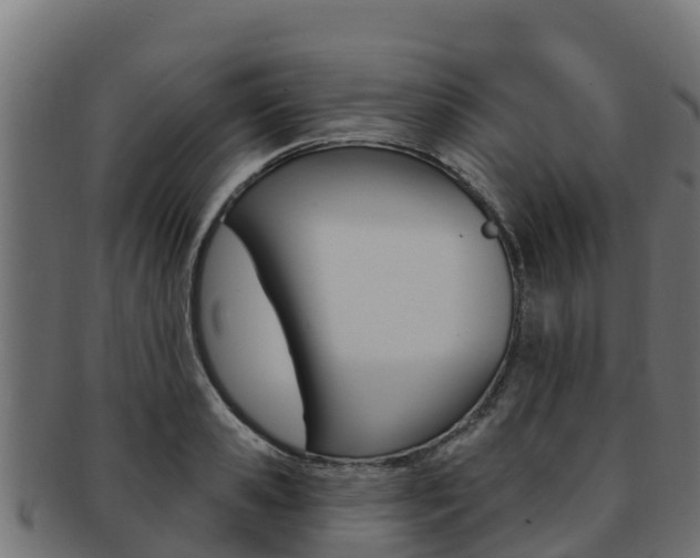 X0000092320941200709141048