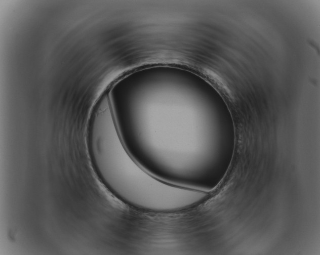 X0000092320942200709141048