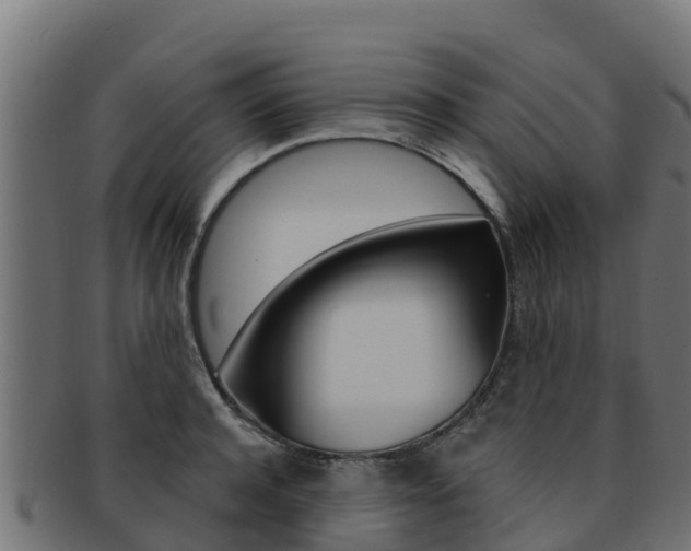 X0000092320944200709141048