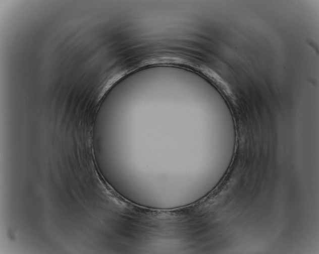 X0000092320945200709141048