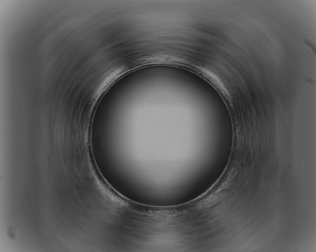 X0000092320946200709141048