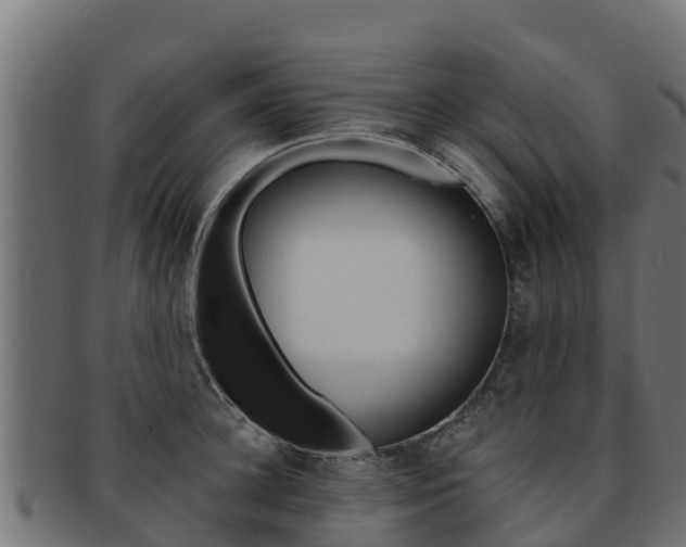 X0000092320948200709141048