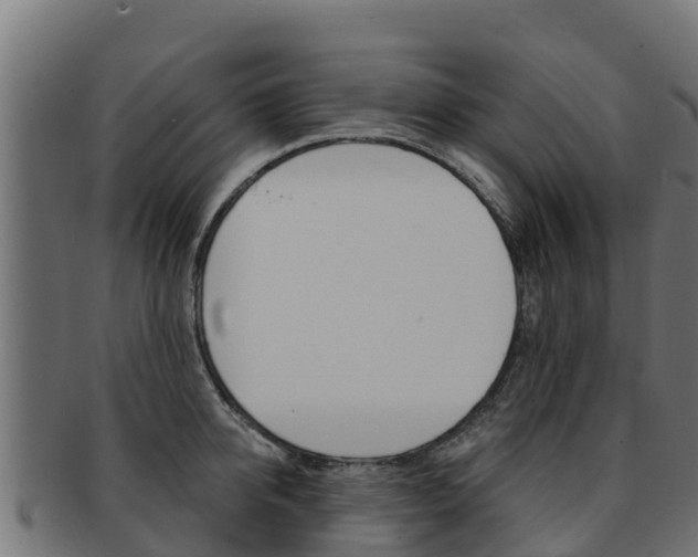 X0000092320950200709141048