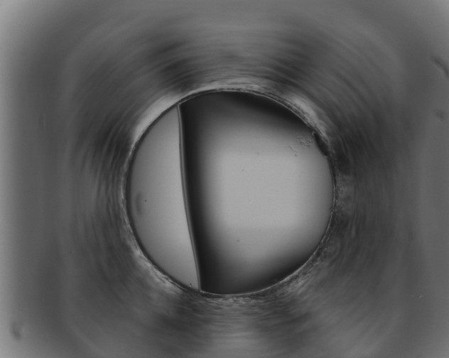 X0000092320952200709141048