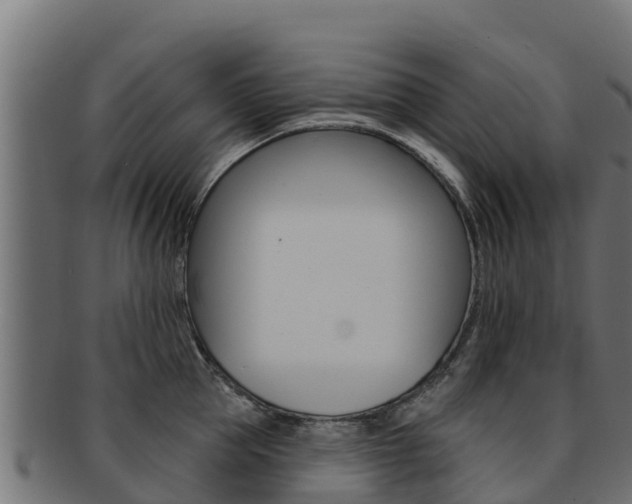 X0000092320953200709141048