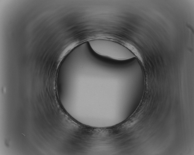 X0000092320954200709141048