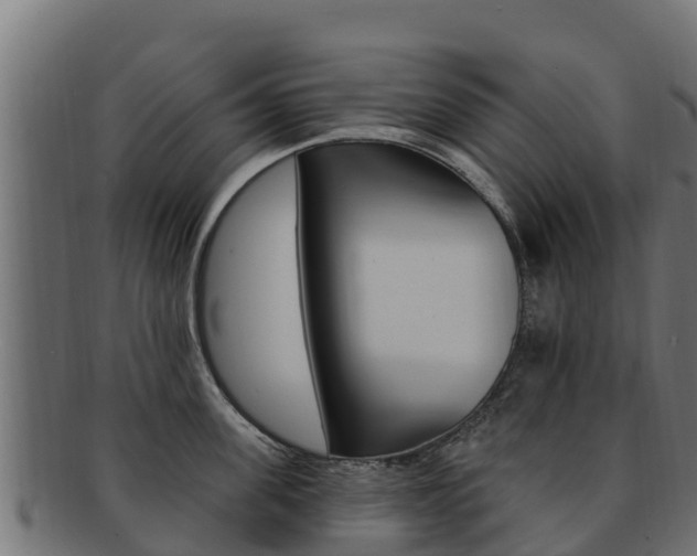 X0000092320955200709141048