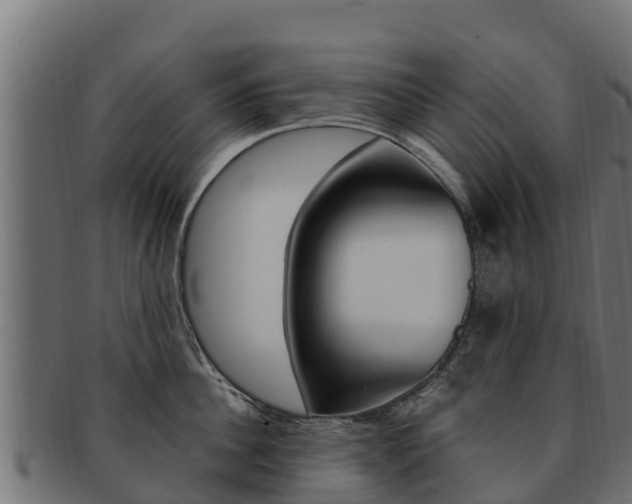 X0000092320956200709141048