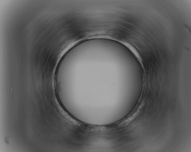 X0000092320957200709141048