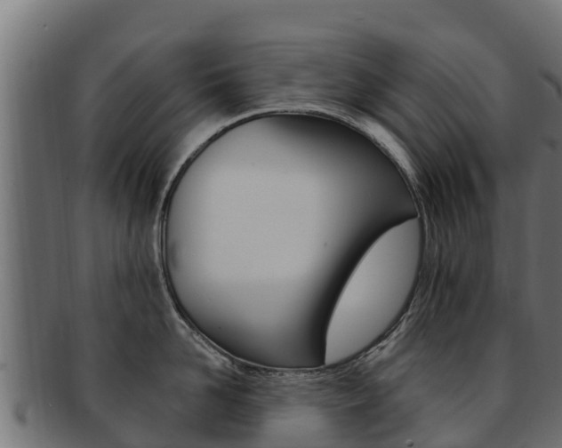 X0000092320958200709141048