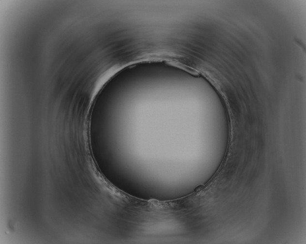 X0000092320960200709141048