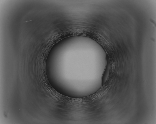 X0000092320961200709141047