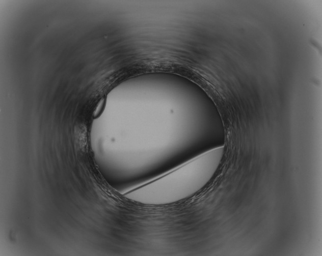 X0000092320963200709141047