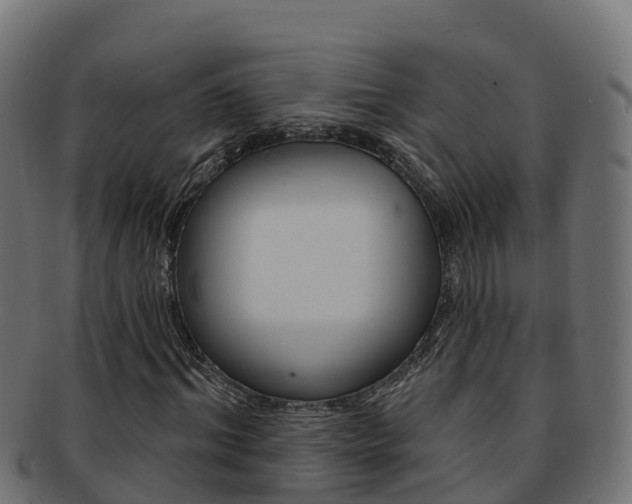 X0000092320964200709141047
