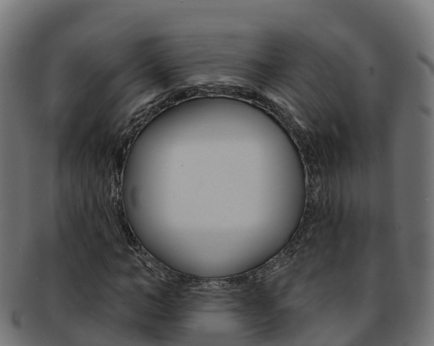 X0000092320966200709141047