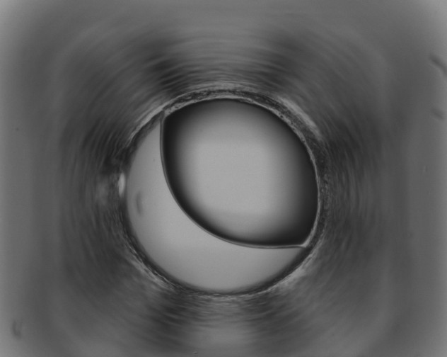 X0000092320969200709141047
