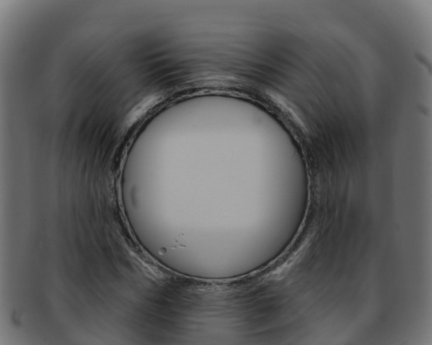 X0000092320970200709141047