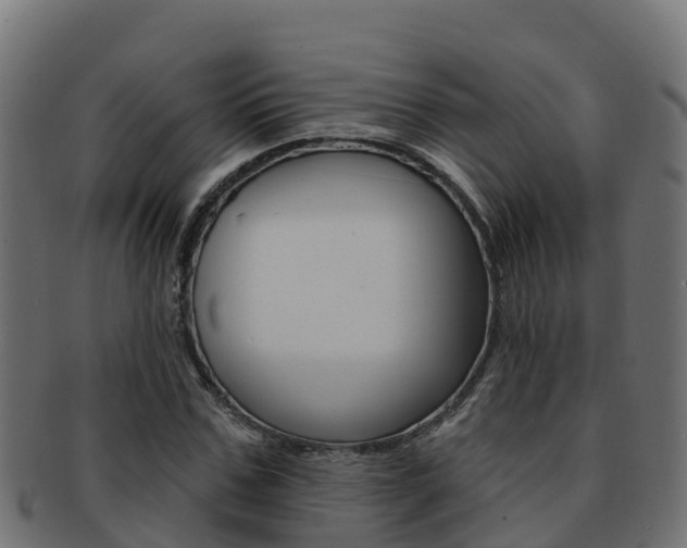 X0000092320971200709141047