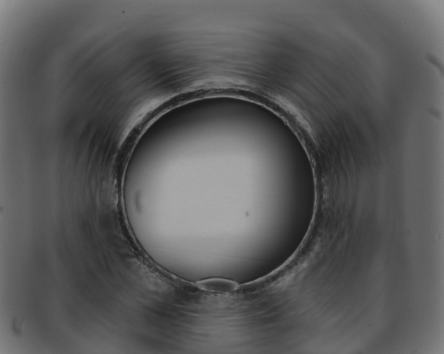 X0000092320973200709141047
