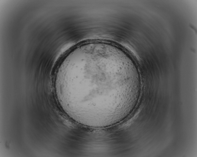 X0000092320974200709141047