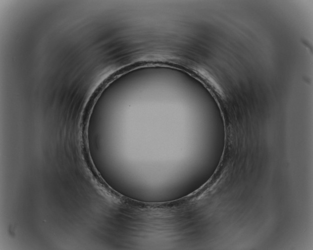 X0000092320976200709141047