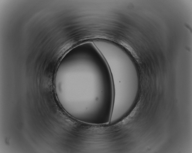 X0000092320977200709141047