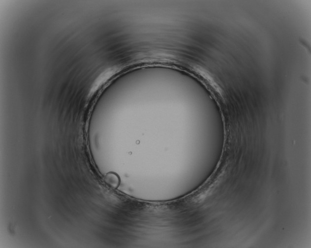 X0000092320978200709141047