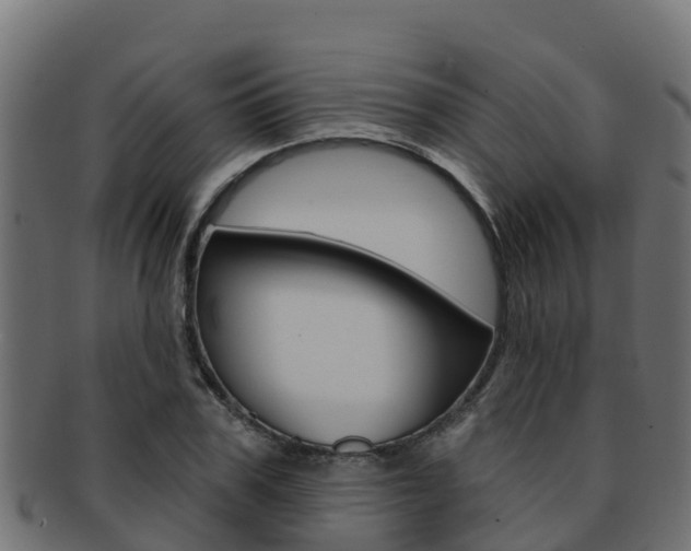 X0000092320979200709141047