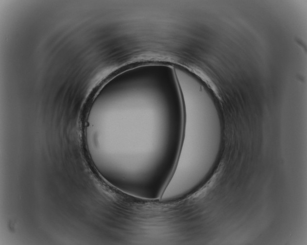 X0000092320981200709141047