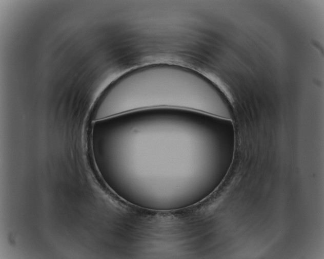 X0000092320983200709141047