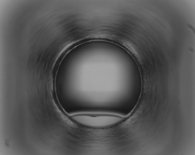 X0000092320984200709141047