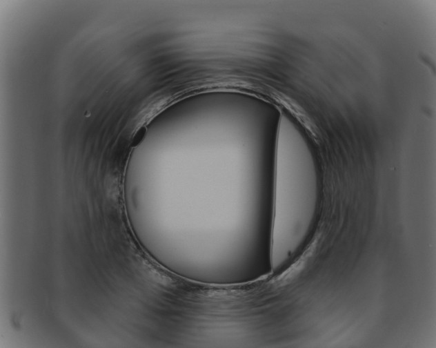 X0000092320985200709141047