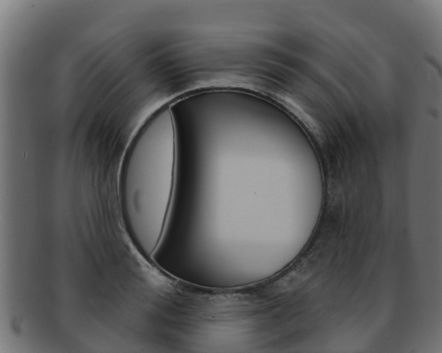 X0000092320988200709141047