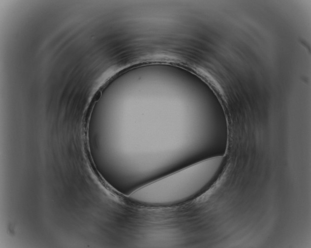 X0000092320989200709141047