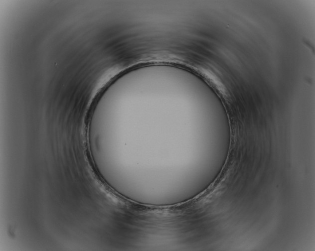 X0000092320990200709141047