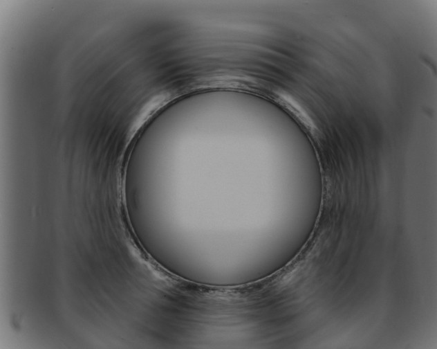 X0000092320994200709141047