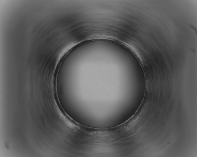X0000092320995200709141047