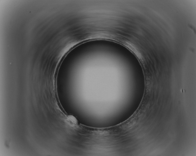 X0000092320996200709141047