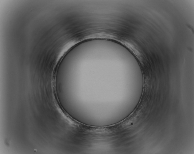 X0000092320998200709141047